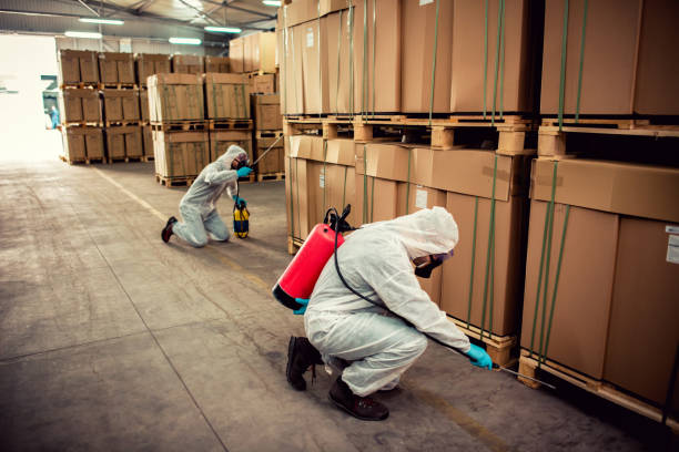 Trusted Pemberton Heights, NJ Pest Control Experts