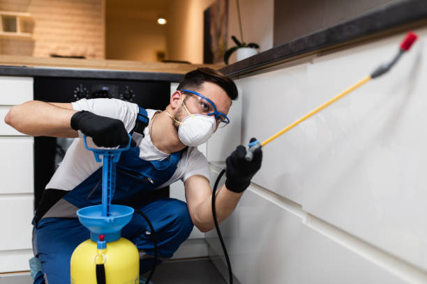 Wasp Removal Services in Pemberton Heights, NJ