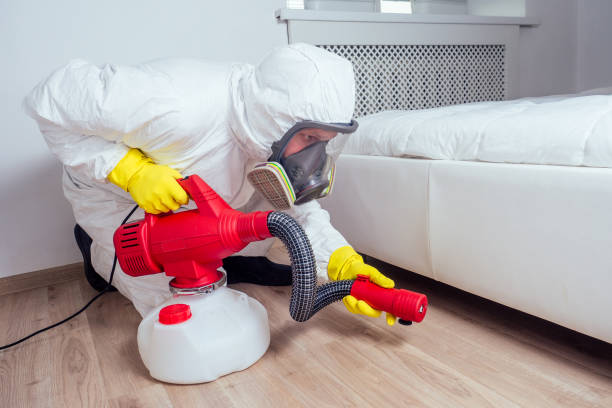 Best Affordable Pest Control Services  in Pemberton Heights, NJ
