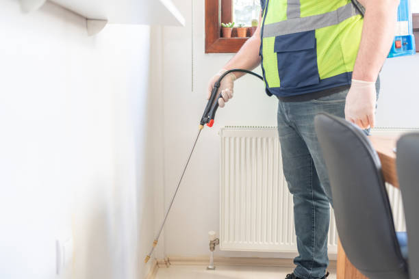Best Wasp Removal Services  in Pemberton Heights, NJ