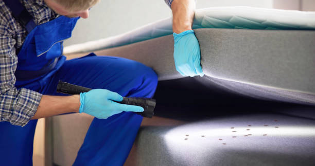 Best Exterminator Services  in Pemberton Heights, NJ